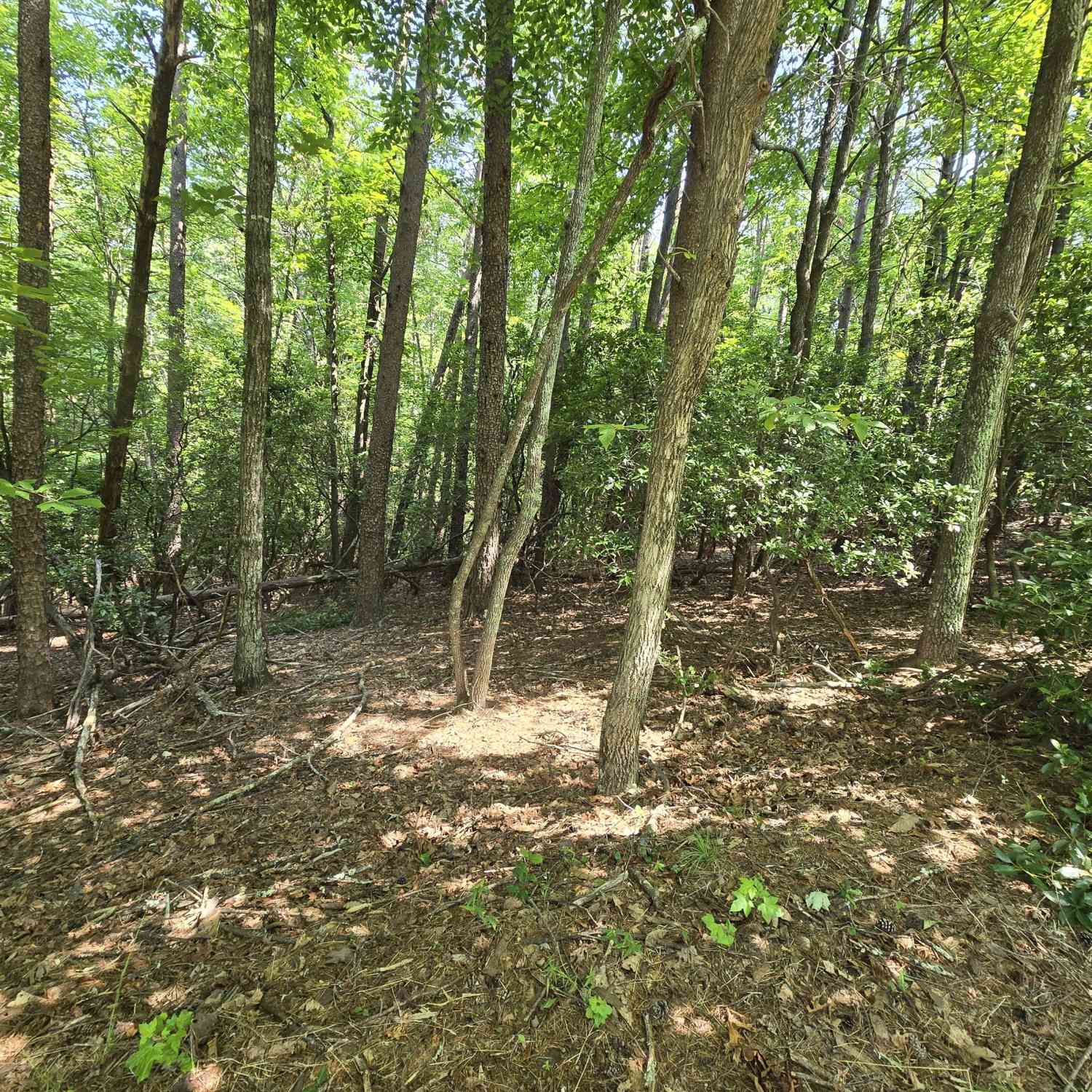 Vacant Land For Sale - C2 Quail Run<br/> White County, Sautee Nacoochee, GA 30571