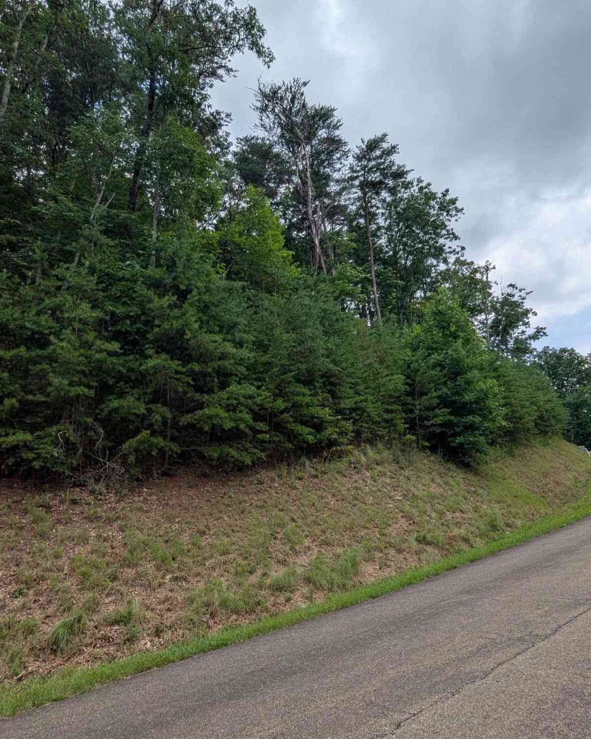 Vacant Land For Sale - 232 Stone Cliff Drive<br/> Gilmer County, Ellijay, GA 30536