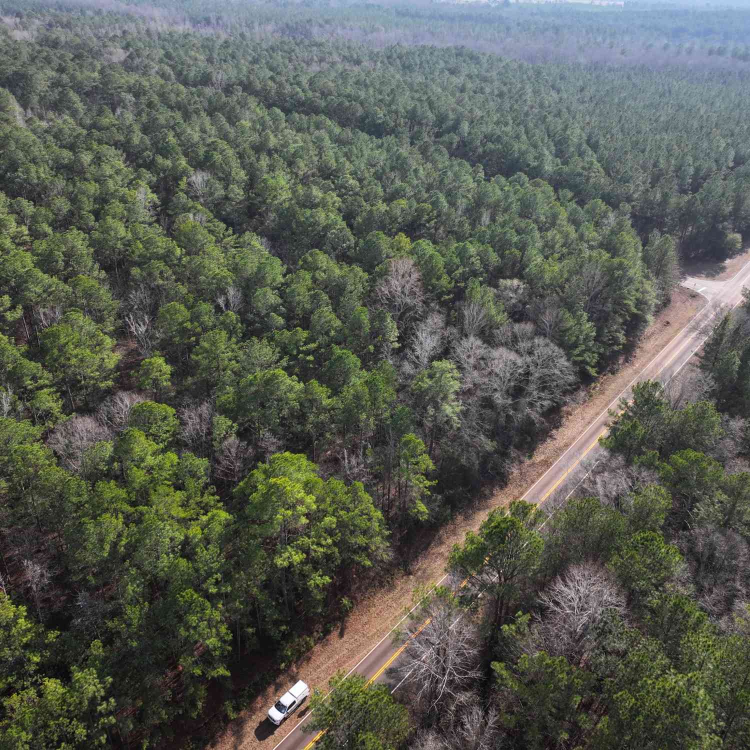 Vacant Land For Sale - LOT 3 Salem Road<br/> Troup County, Pine Mountain, GA 31822