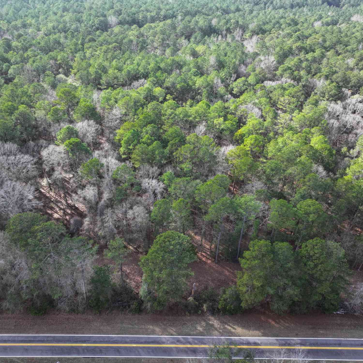 Vacant Land For Sale - LOT 1 Salem Road<br/> Troup County, Pine Mountain, GA 31822