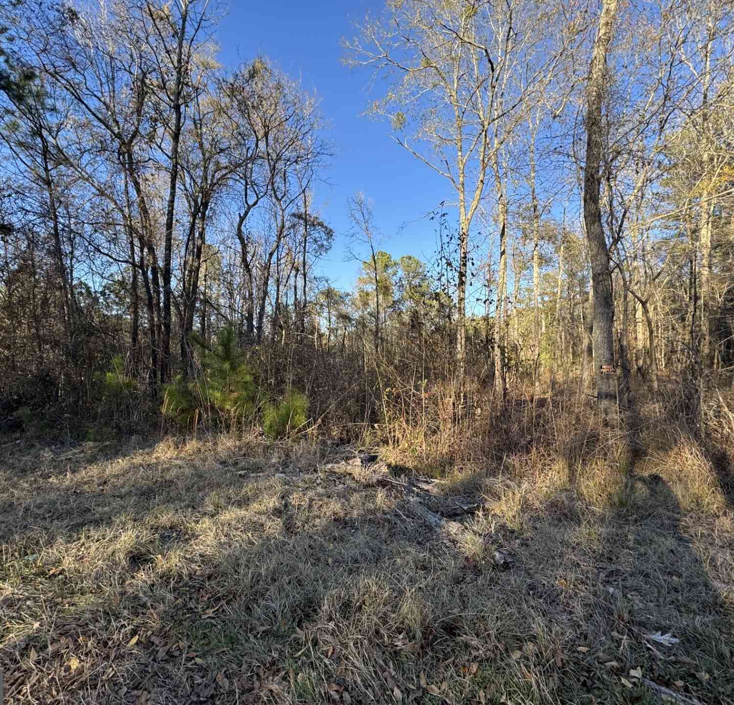 Vacant Land For Sale - Kelly Road<br/> Macon, GA 31217