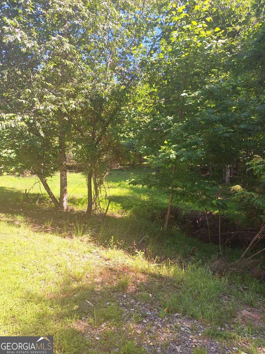 Vacant Land For Sale - Judah Road<br/> MORGANTON, GA 30560