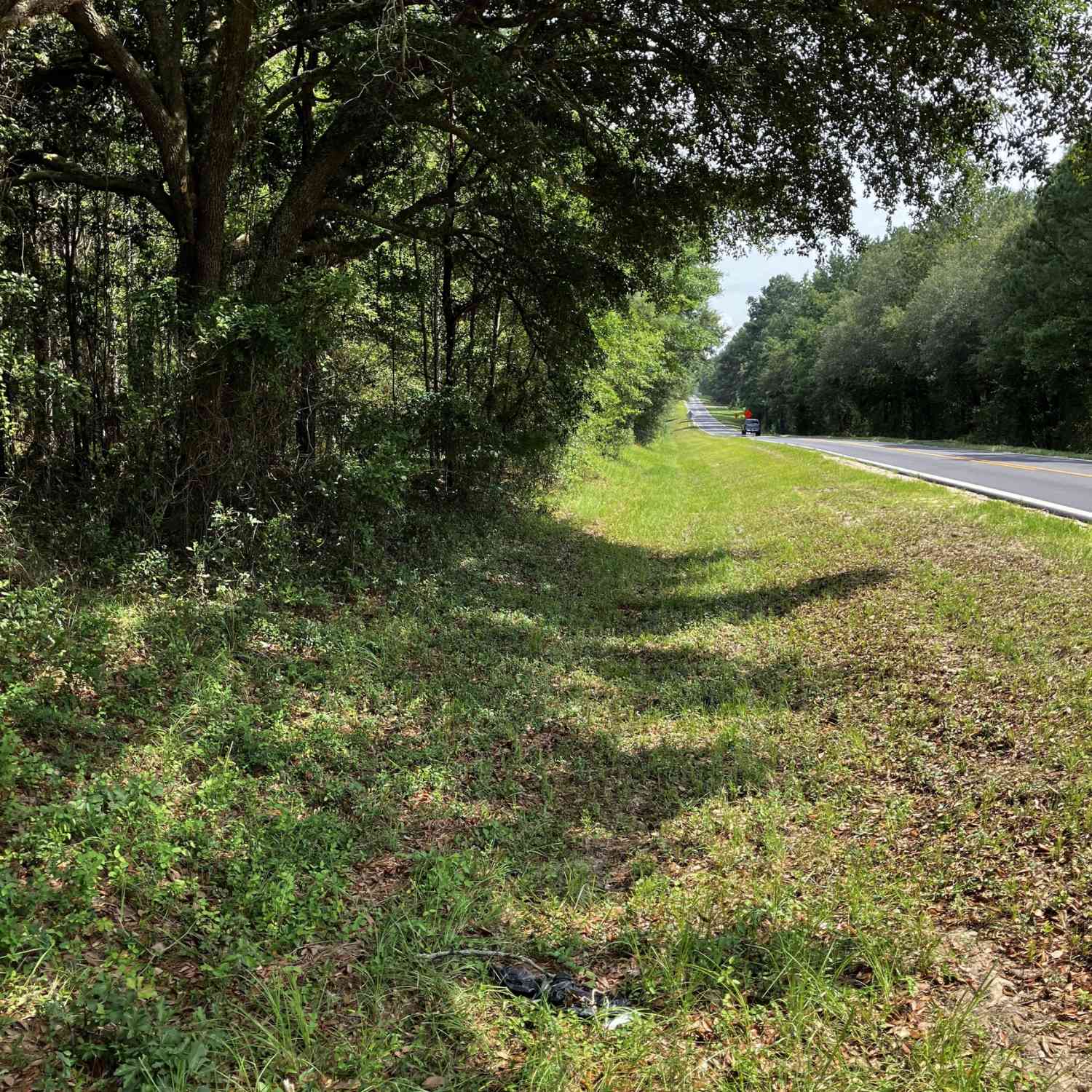 Vacant Land For Sale - Hendrix Bridge Road<br/> Claxton, GA 30417