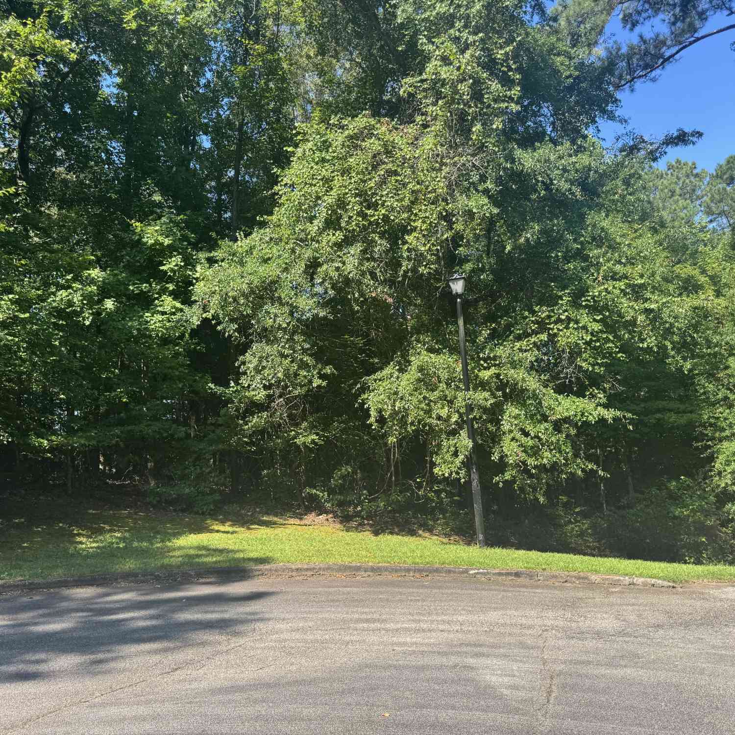 Vacant Land For Sale - 217 Long Cove Drive<br/> LaGrange, GA 30240