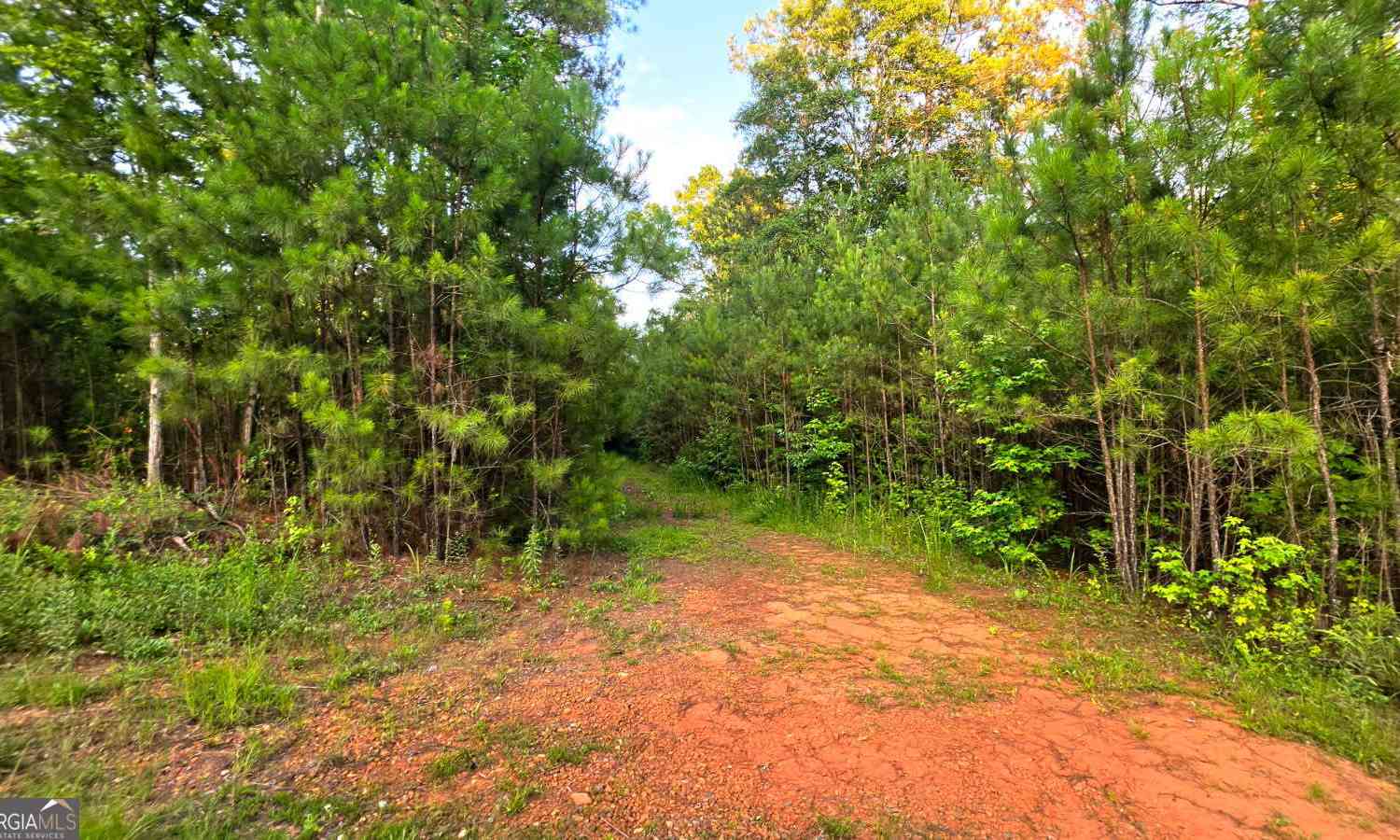 Vacant Land For Sale - LOT 22 Gordon Road<br/> Forsyth, GA 31029