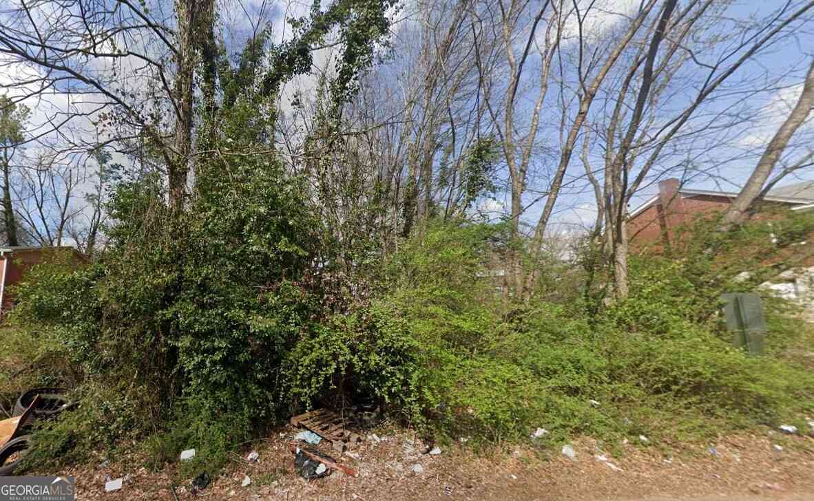 Vacant Land For Sale - 350 Laquita Drive SE<br/> Fulton County, Atlanta, GA 30315