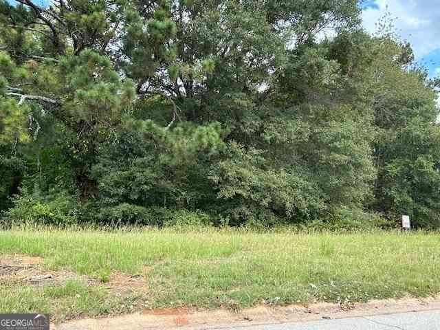 Vacant Land For Sale - 109 Burleyson Drive<br/> McDonough, GA 30253
