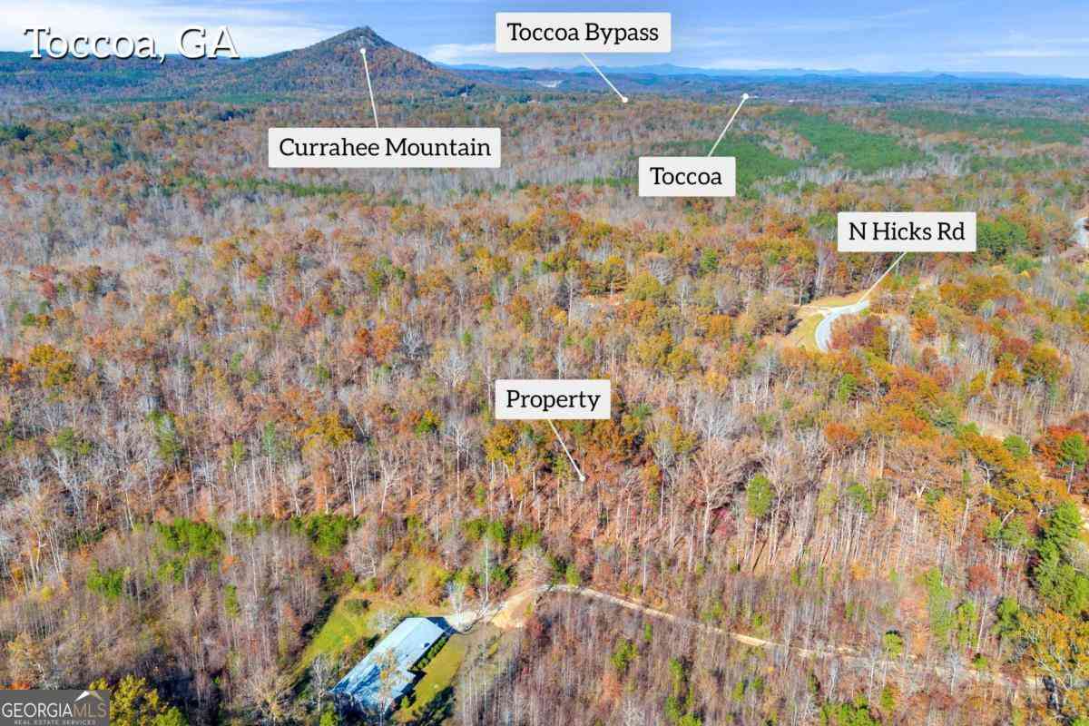 Vacant Land For Sale - LOT 12 N Hicks Road<br/> Toccoa, GA 30577