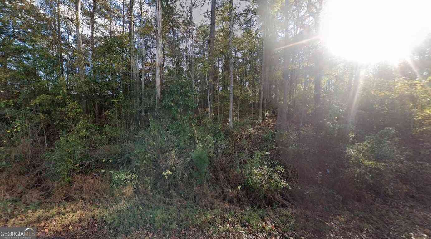 Vacant Land For Sale - 246 Pine Hill Road<br/> LaGrange, GA 30241