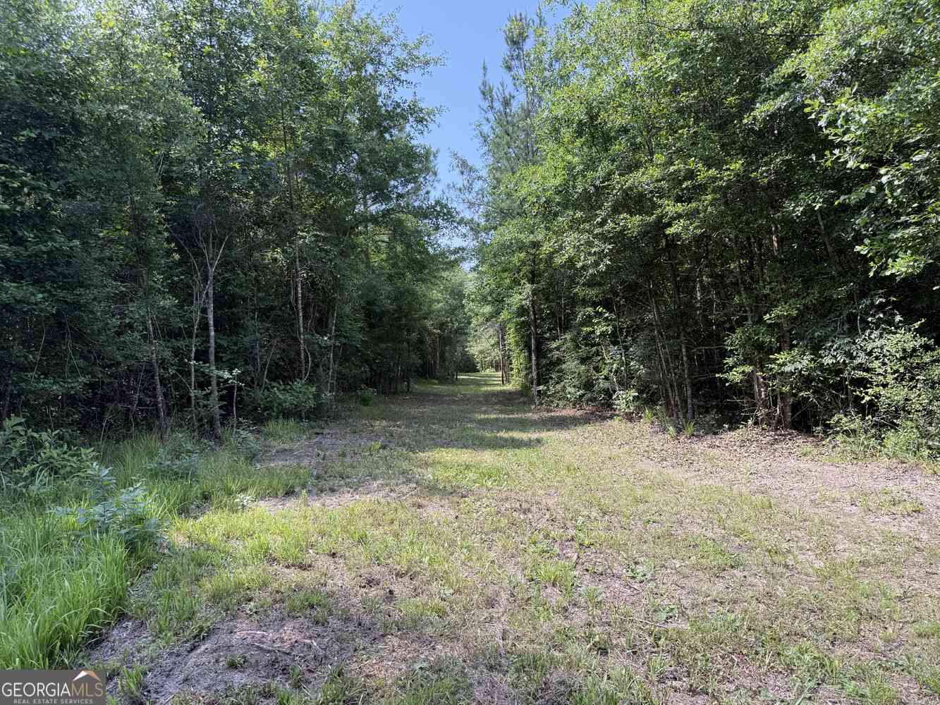 Vacant Land For Sale - 651 Branan Road<br/> Toomsboro, GA 31090