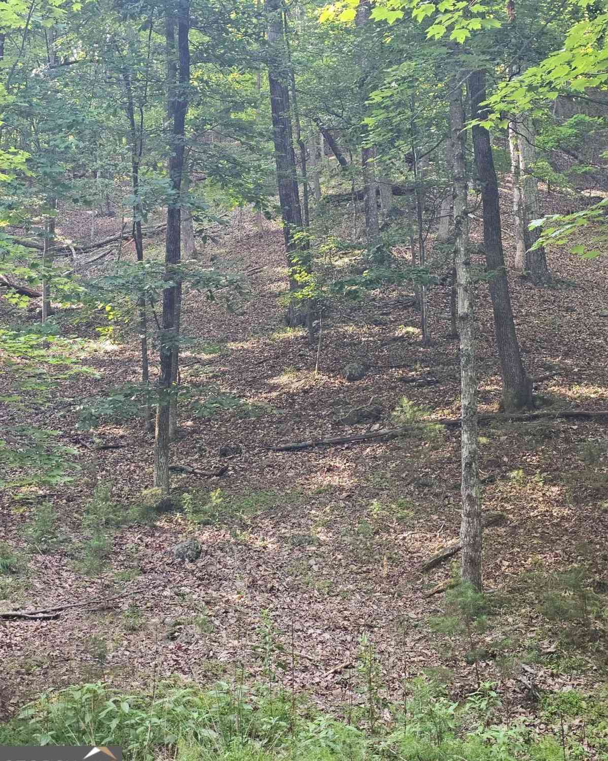 Vacant Land For Sale - 1111 Quail Cove Drive #1111<br/> Jasper, GA 30143