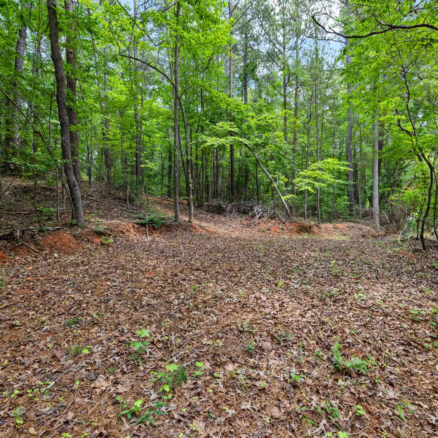 Vacant Land For Sale - Terry Road<br/> Fairburn, GA 30213