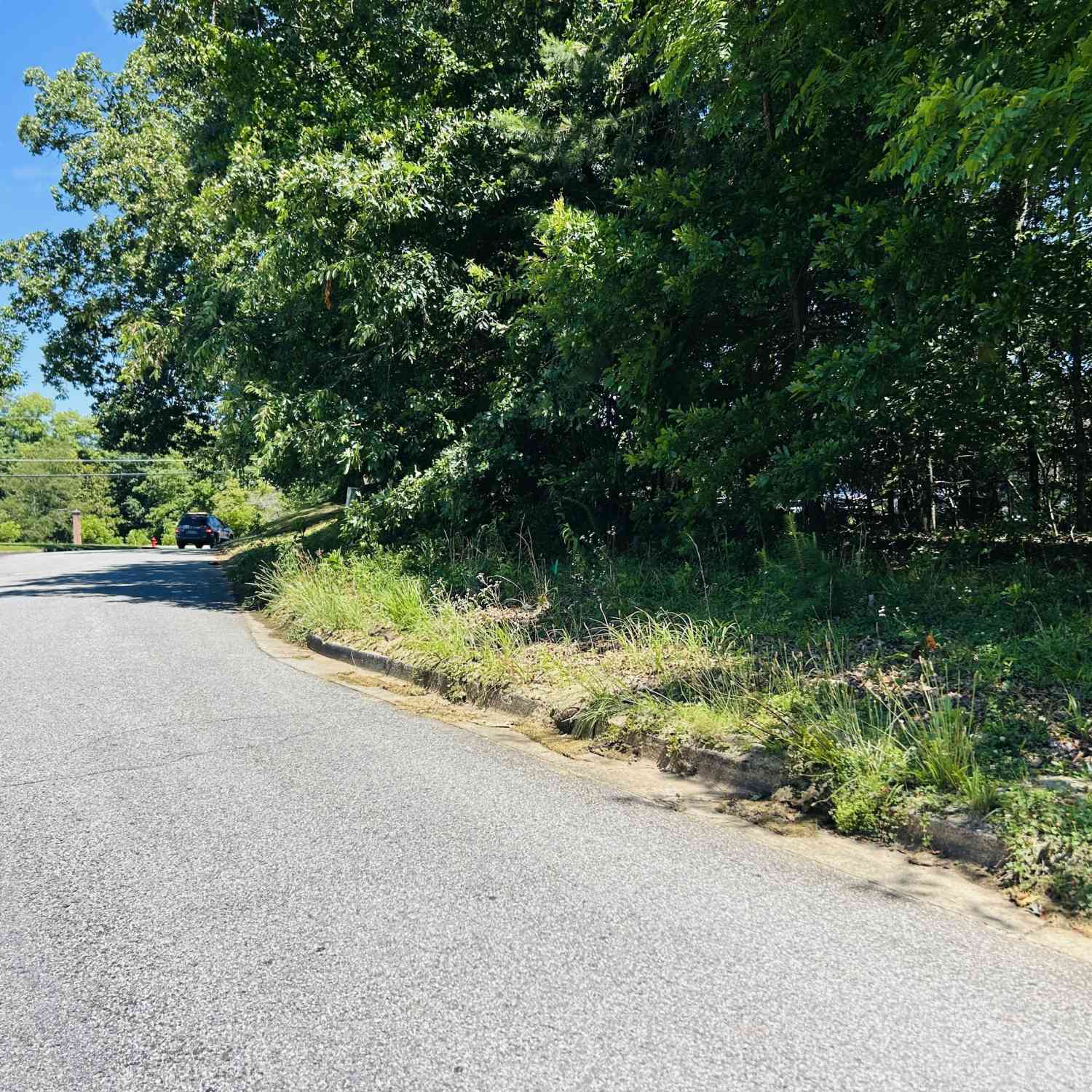 Vacant Land For Sale - 810 Austin Drive<br/> Habersham County, Demorest, GA 30535