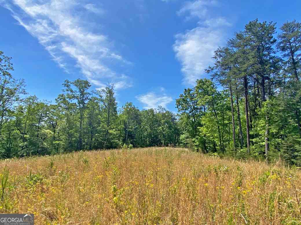 Vacant Land For Sale - 10.5AC Jack Walker Road<br/> Lumpkin County, Dahlonega, GA 30533
