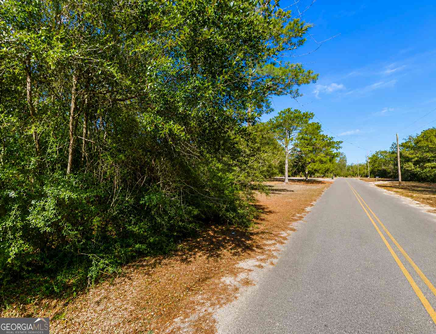 Vacant Land For Sale - 399 Perdue Road<br/> Walton County, Defuniak Springs, FL 32433