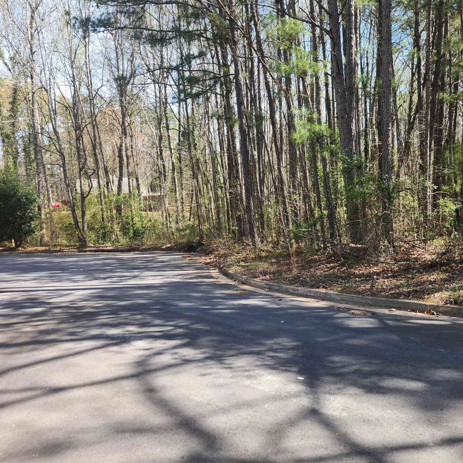 Vacant Land For Sale - Salem Court<br/> Henry County, McDonough, GA 30252