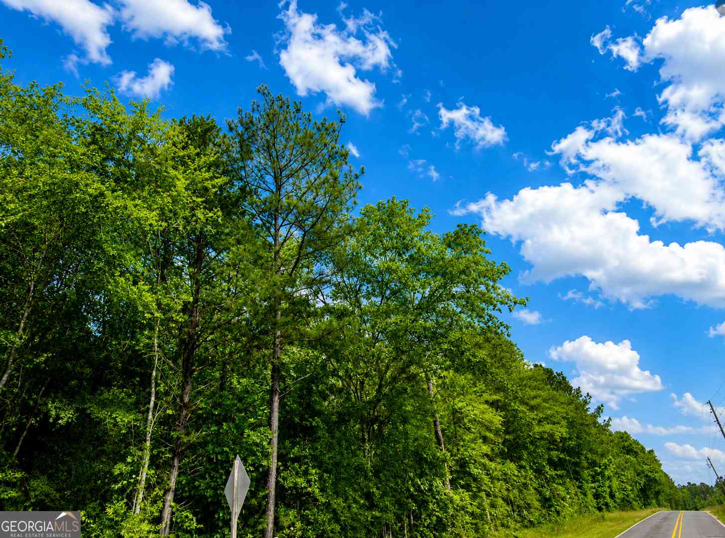 Vacant Land For Sale - 1.77 ACRES Olive Grove Church Road<br/> Roberta, GA 31078