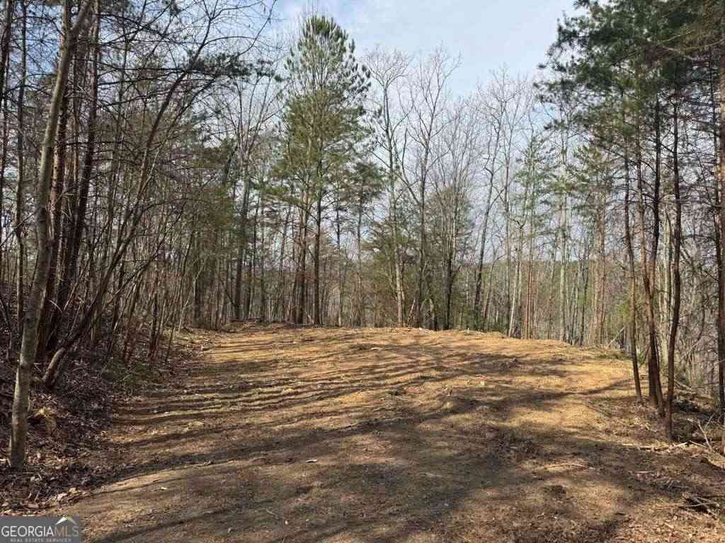 Vacant Land For Sale - 1450 Hanna Drive<br/> Gordon County, Ranger, GA 30734