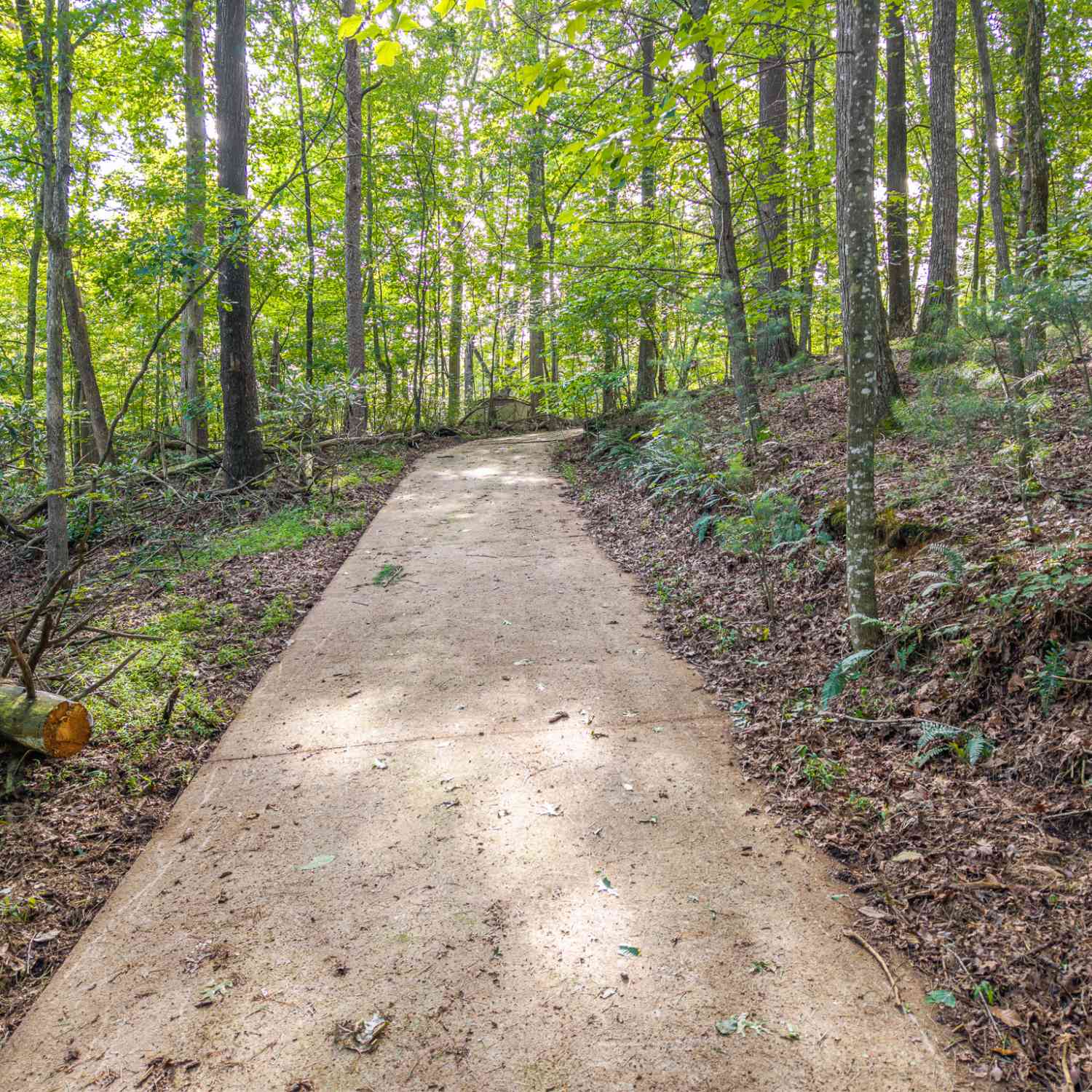 Vacant Land For Sale - 5198 Flat Branch Road<br/> Gilmer County, Ellijay, GA 30540