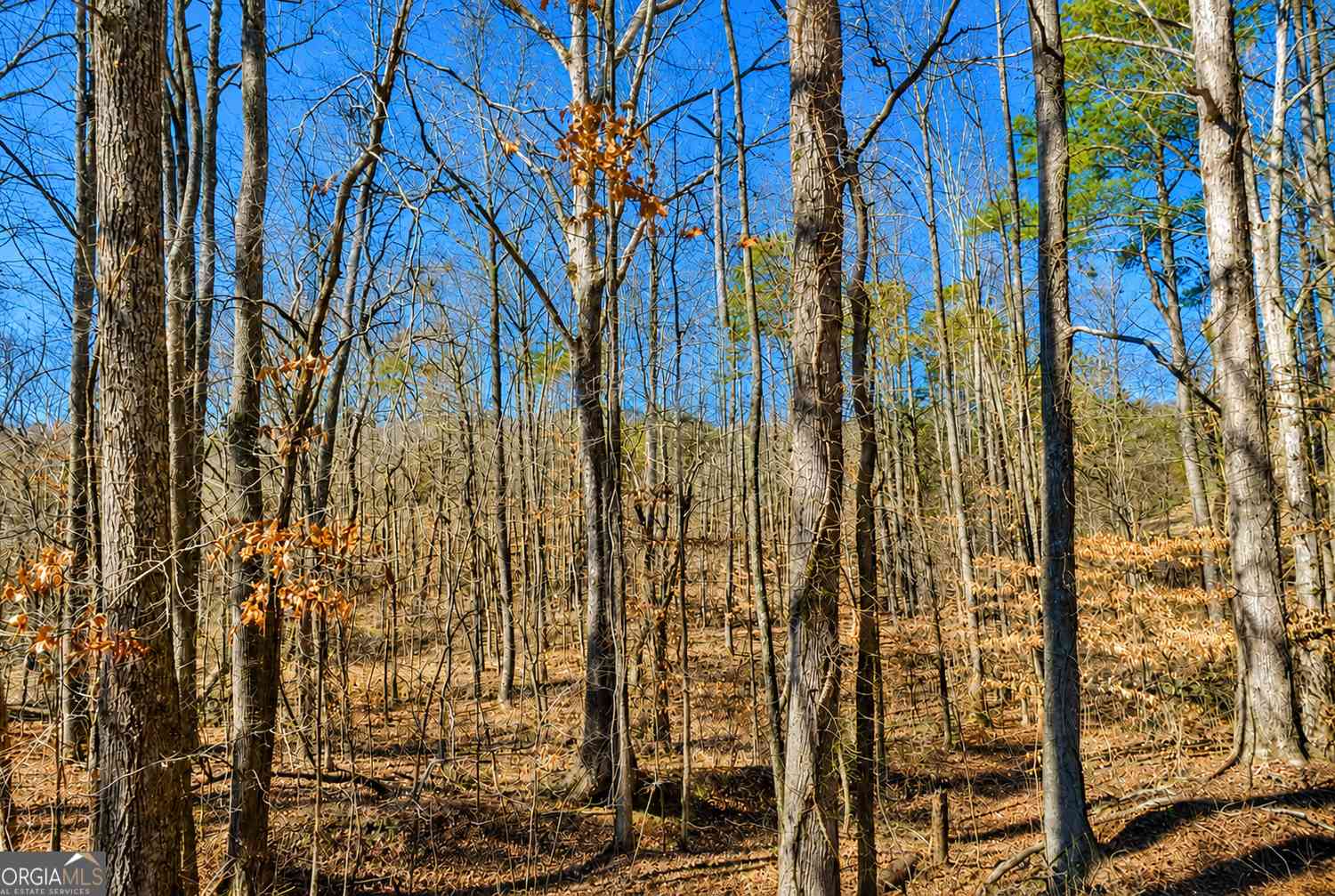 Vacant Land For Sale - 2 ACRES Pettit Road<br/> Pickens County, Jasper, GA 30143