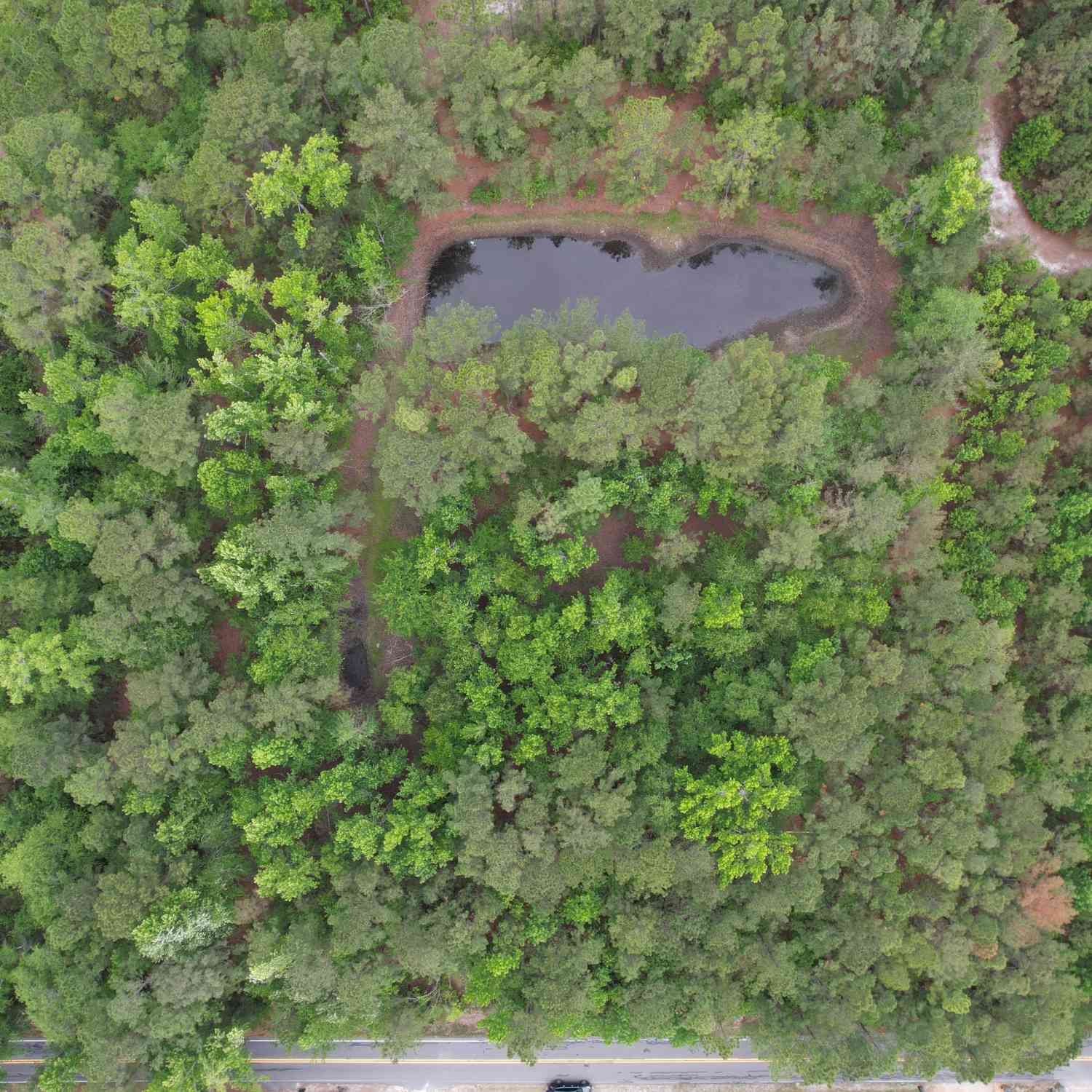 Vacant Land For Sale - 1.5 ACRES Mt Pleasant Road<br/> Effingham County, Clyo, GA 31303
