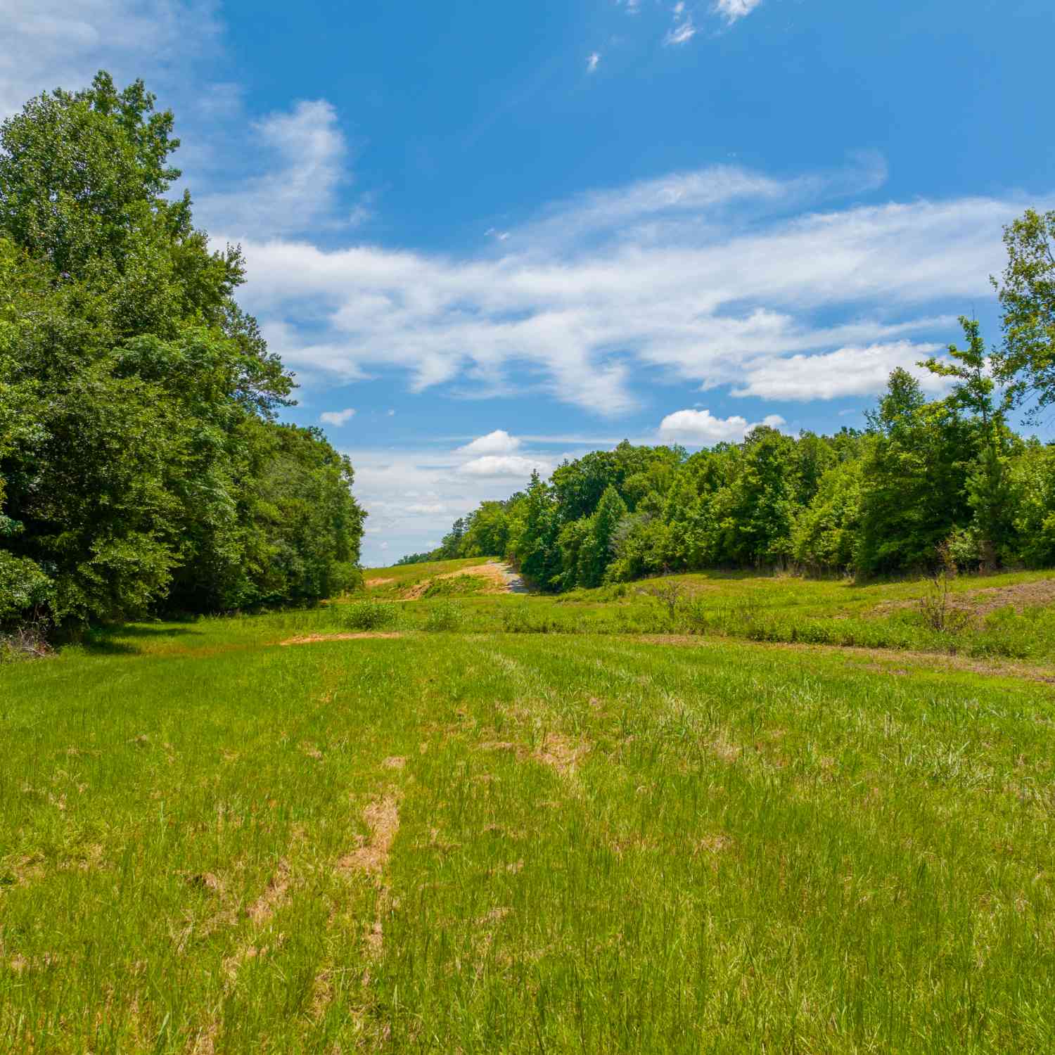 Vacant Land For Sale - 29.3 ACRES Cochran Road<br/> Madison, GA 30650