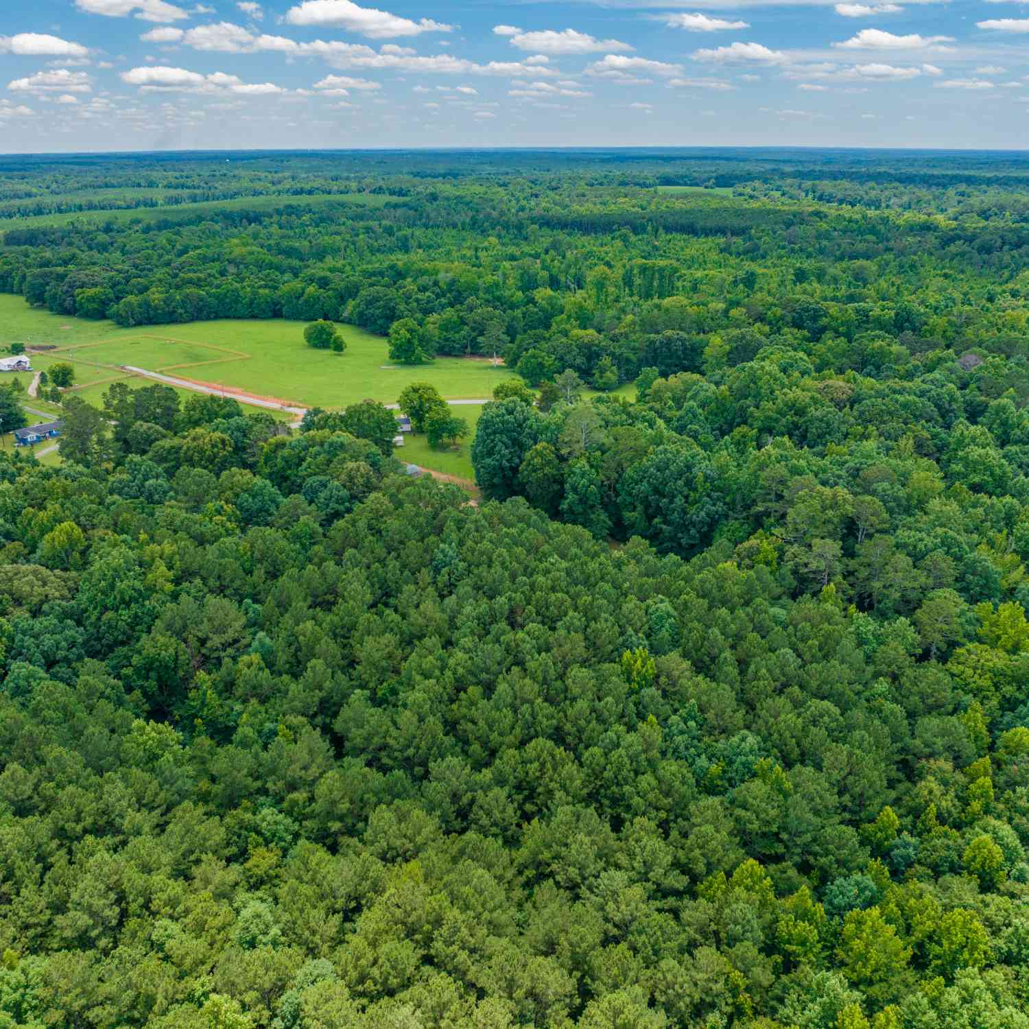 Vacant Land For Sale - 21.4 ACRES Cochran Road<br/> Morgan County, Madison, GA 30650
