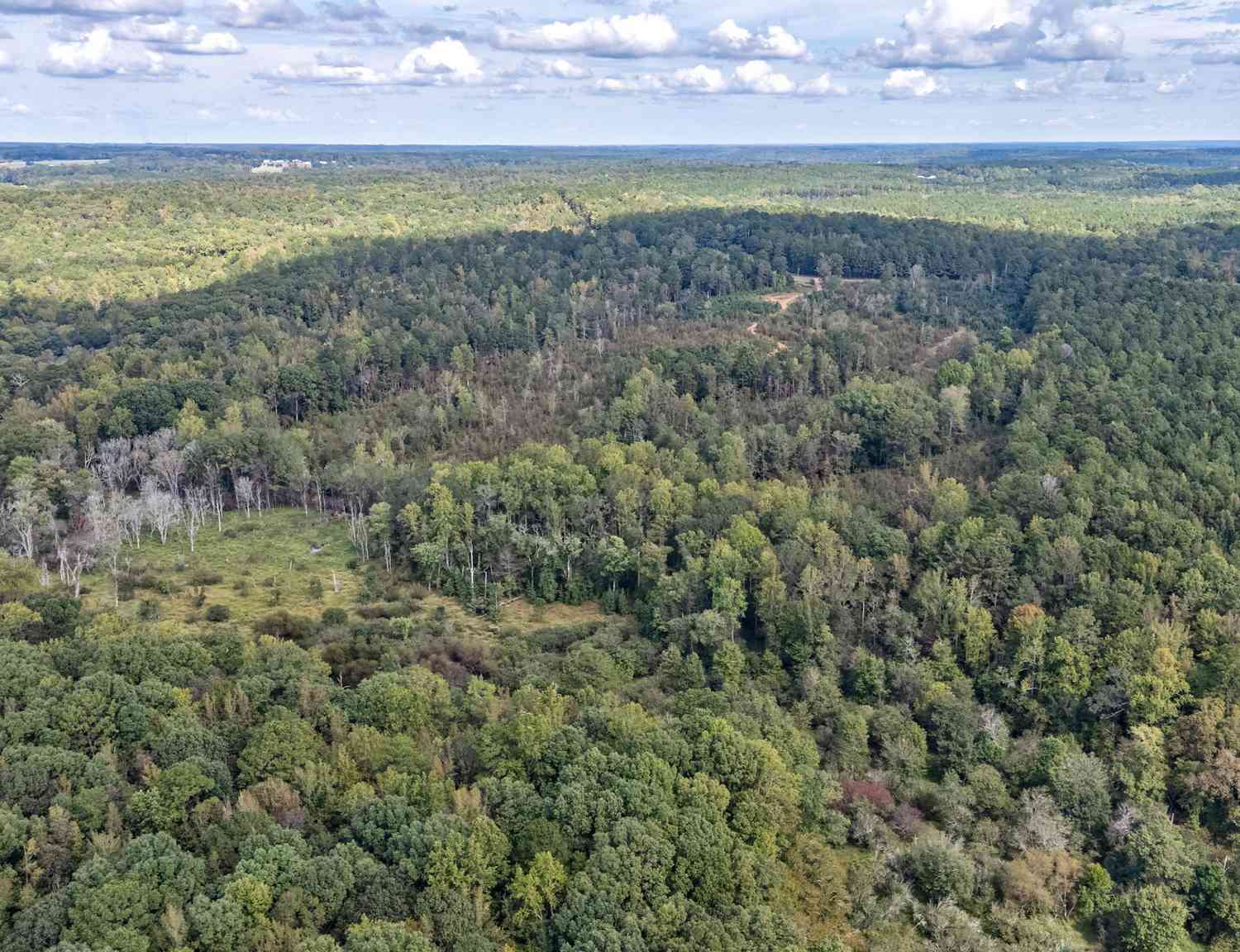 Vacant Land For Sale - Old Salem Road #TRACT 4<br/> Watkinsville, GA 30677
