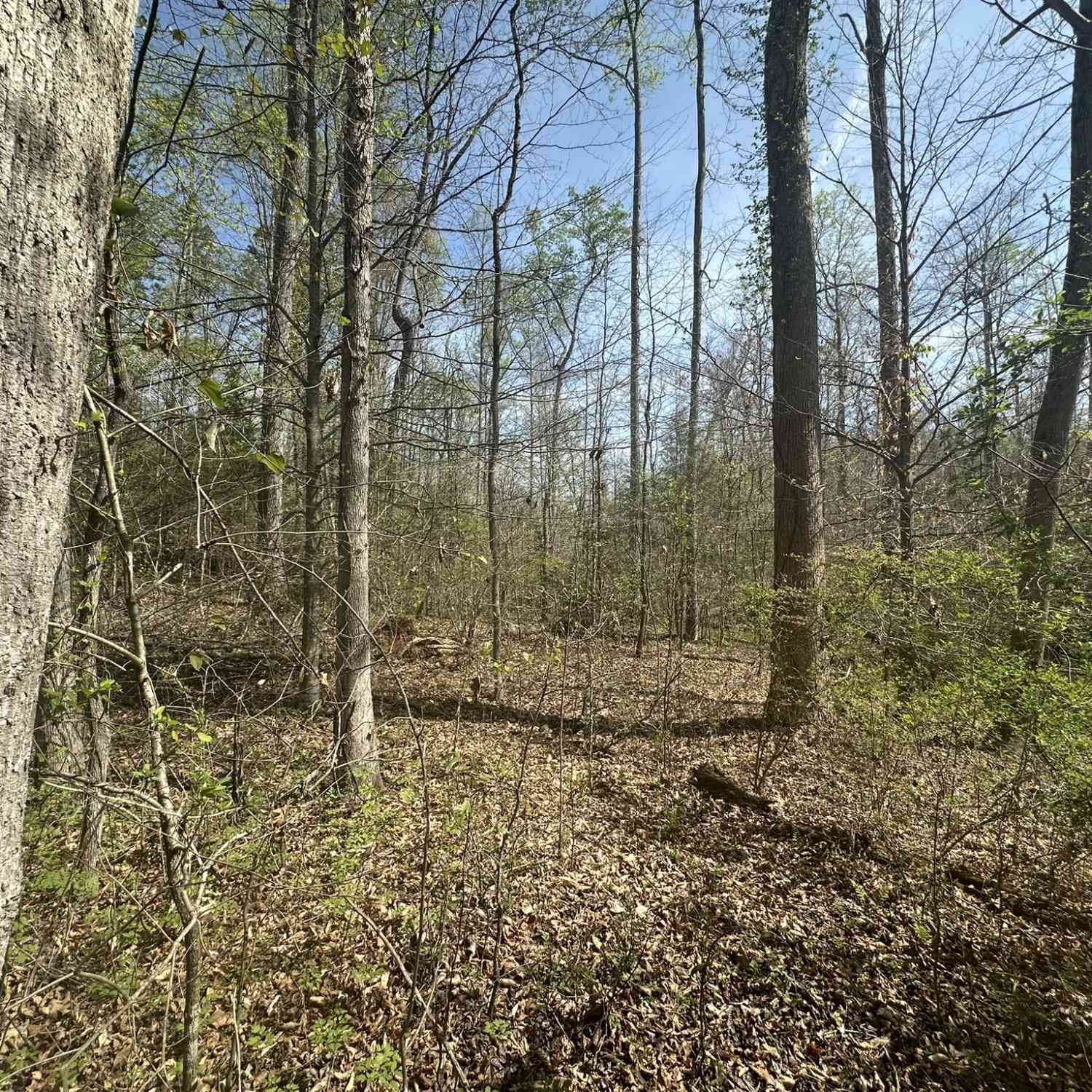 Vacant Land For Sale - 196 Chateau Village Drive<br/> Martin, GA 30557