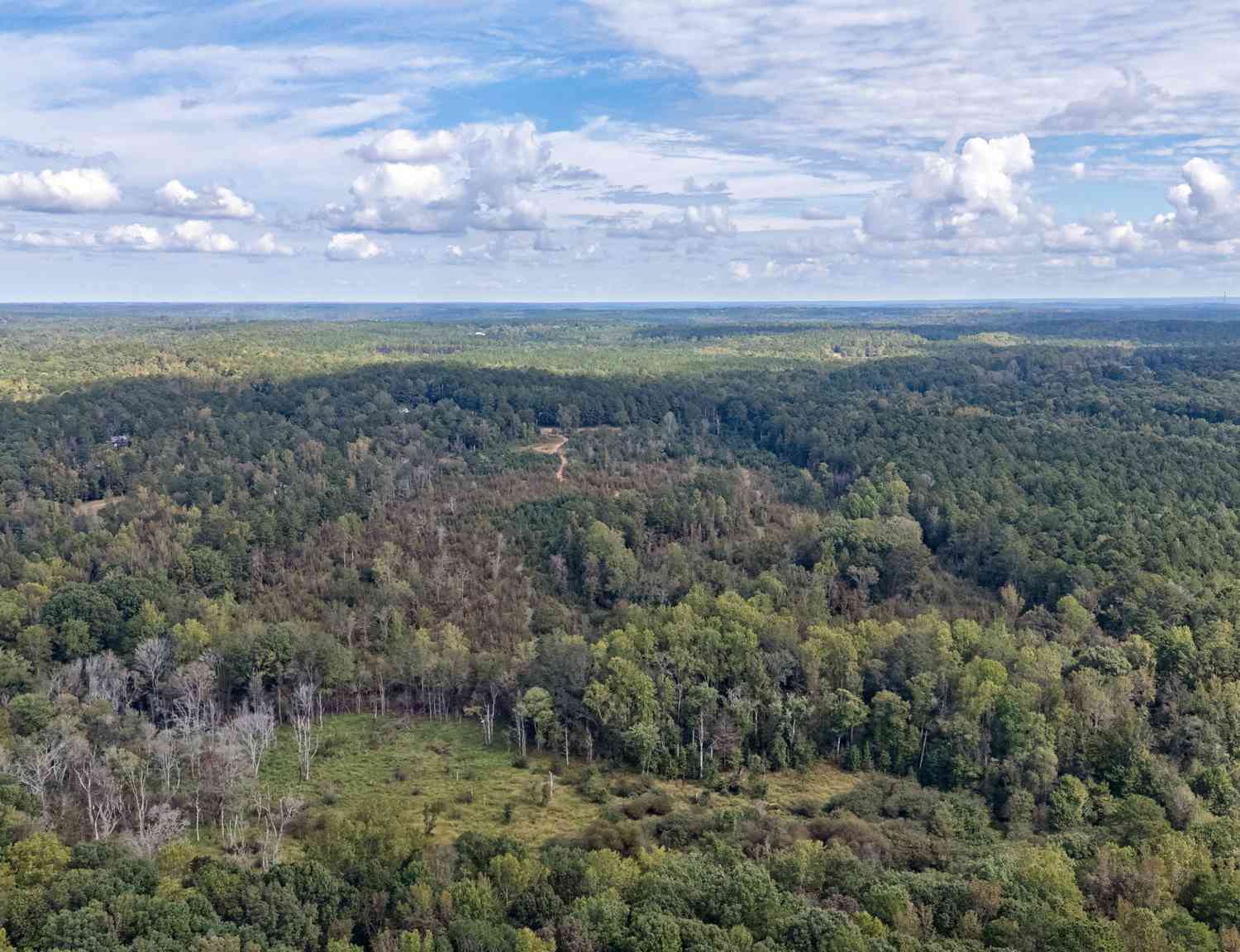 Vacant Land For Sale - 00 Old Salem Road #TRACT 3<br/> Watkinsville, GA 30677