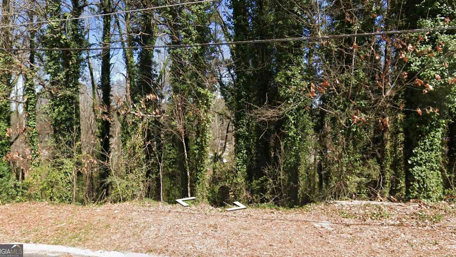 Vacant Land For Sale - Brookside Dr<br/> Clayton County, forest park, GA 30297