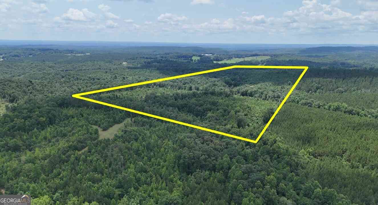 Vacant Land For Sale - Old Highway 431 #LOT A<br/> Wedowee, AL 36278