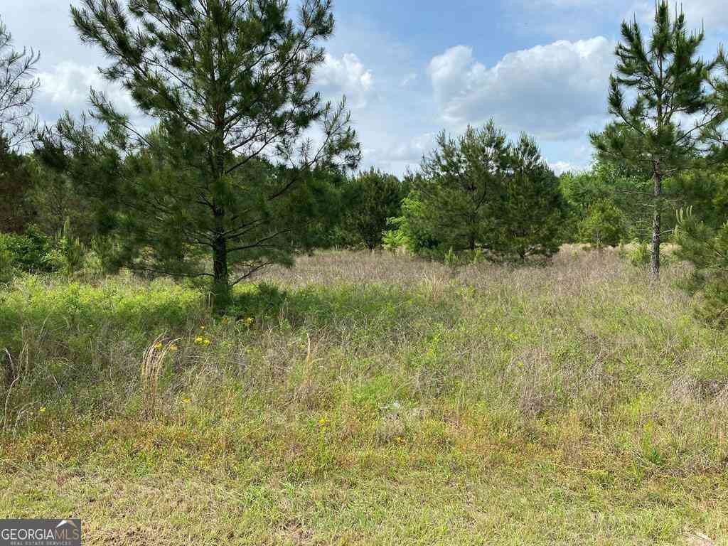 Vacant Land For Sale - 1001-B Holiday Road<br/> Laurens County, Dublin, GA 31021