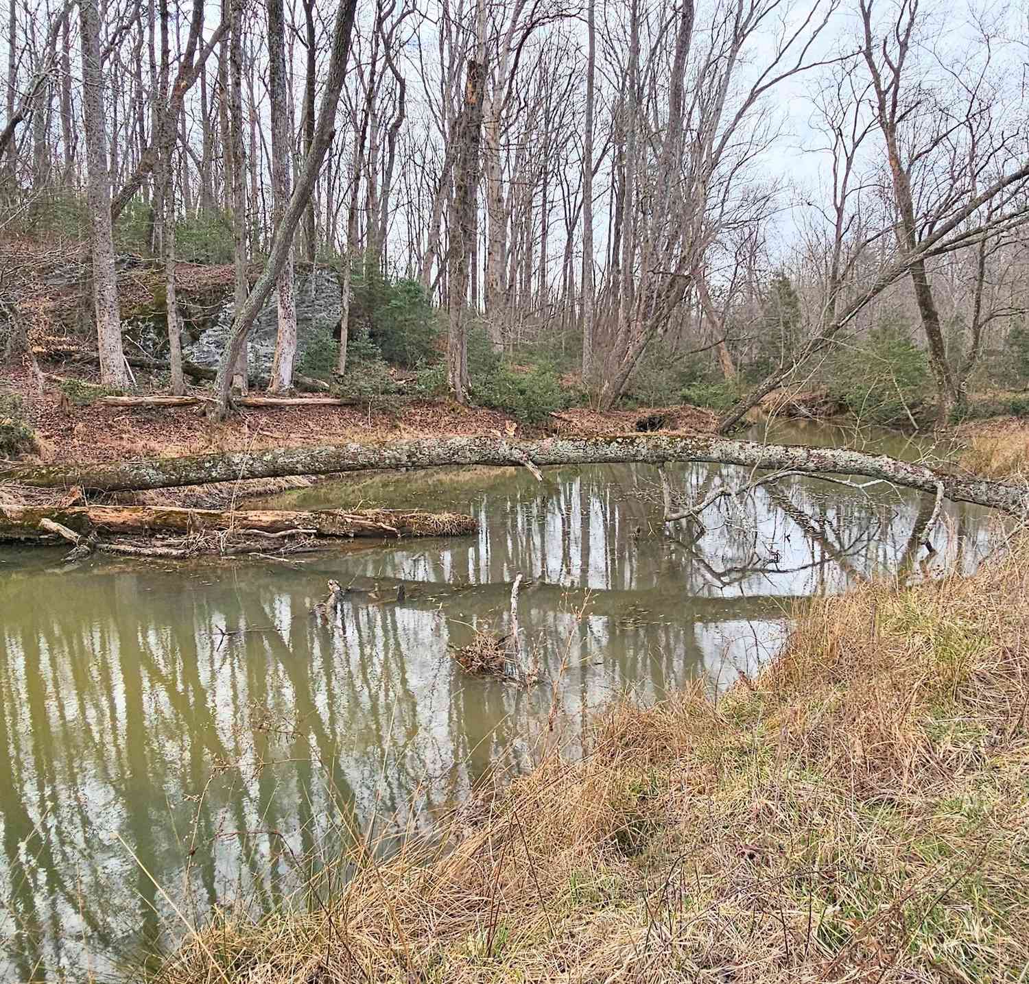 Vacant Land For Sale - Gladston Drive<br/> Habersham County, Mount Airy, GA 30563