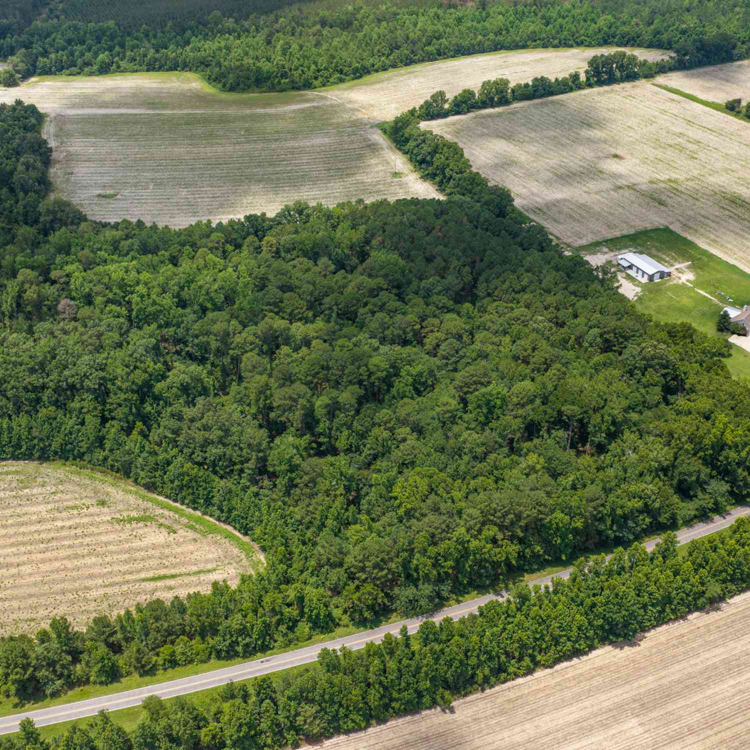 Vacant Land For Sale - Old River Road<br/> Bulloch County, Garfield, GA 30425