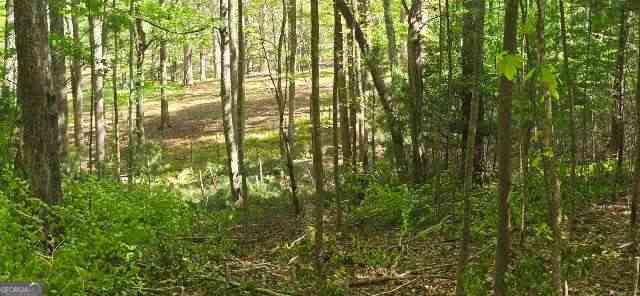 Vacant Land For Sale - LOT 3-4 Scouts Overlook Lane<br/> Morganton, GA 30560
