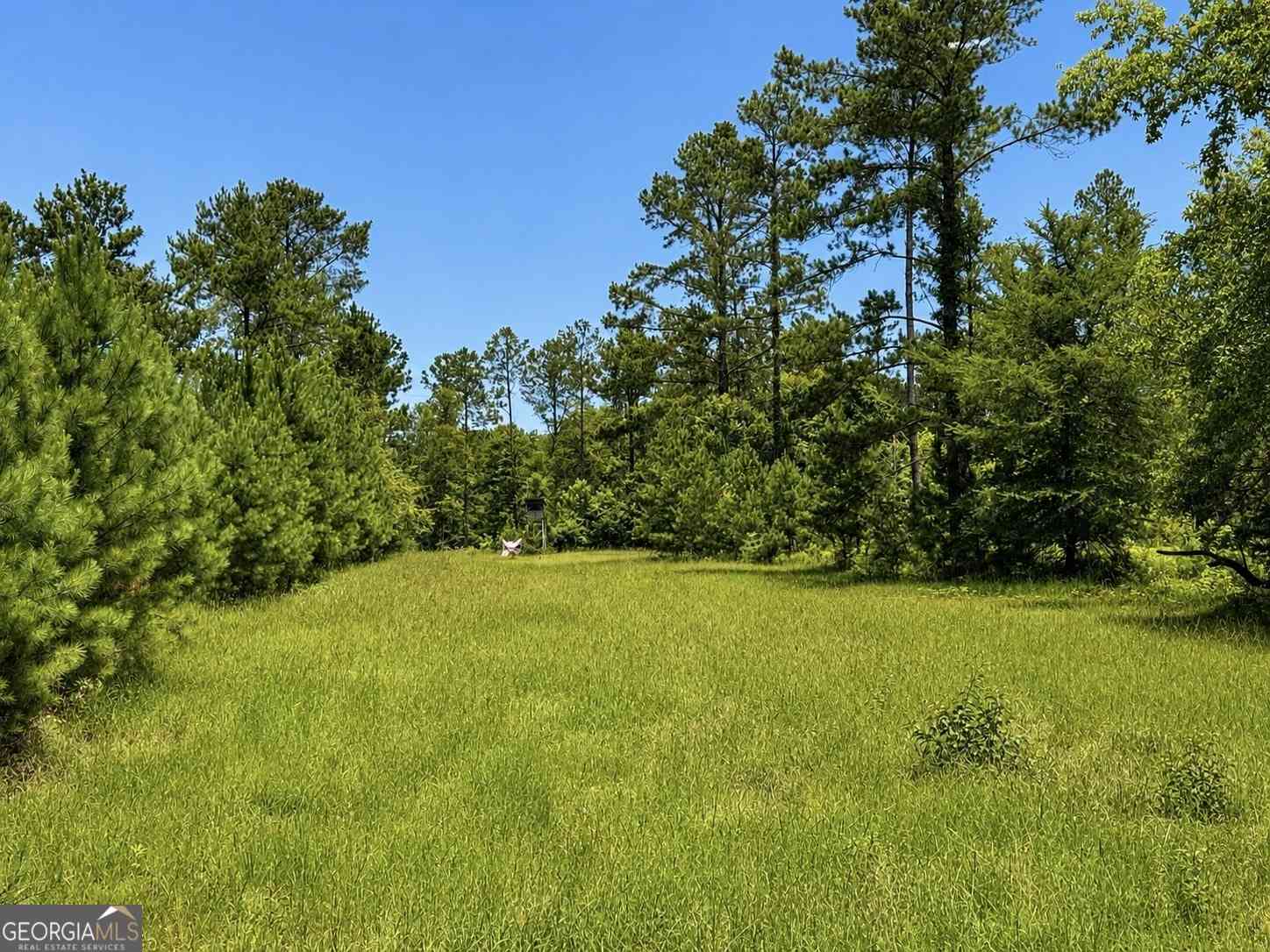 Vacant Land For Sale - Stonewall<br/> Macon, GA 31211