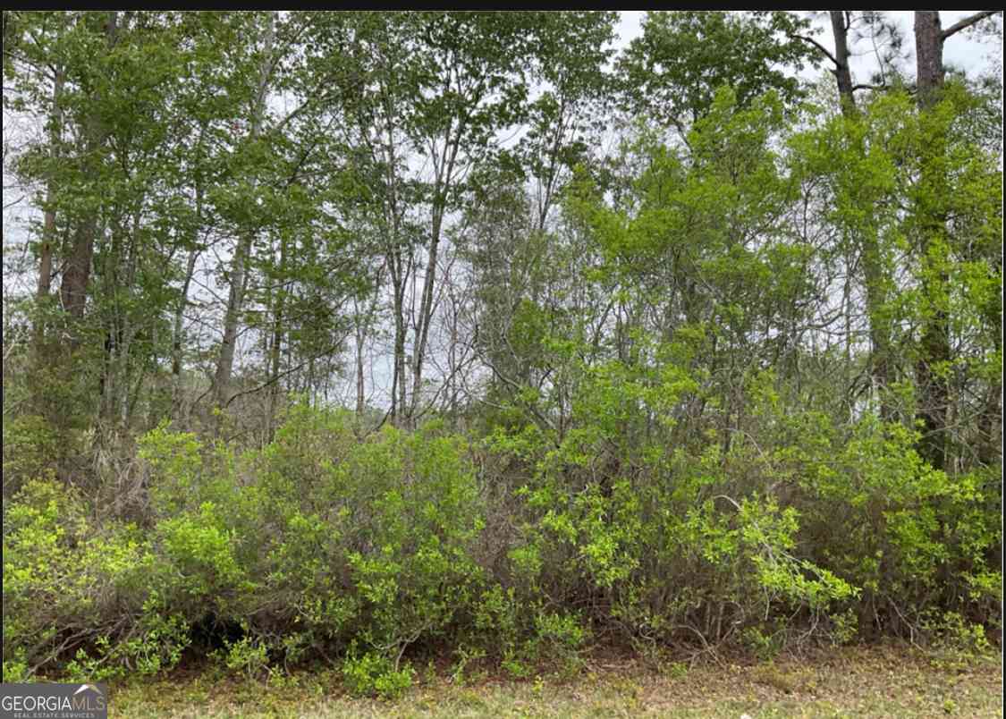 Vacant Land For Sale - 1601ac #TRACT 4<br/> Townsend, GA 31331