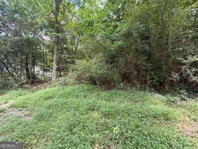 Vacant Land For Sale - 280 Nixon Road<br/> Summerville, GA 30747