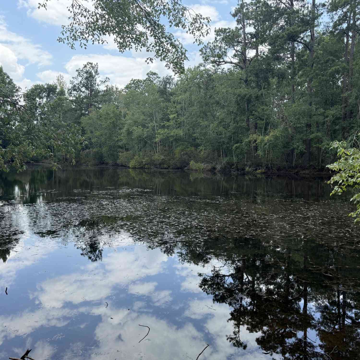 Vacant Land For Sale - 1144 Highway 80<br/> Swainsboro, GA 30401
