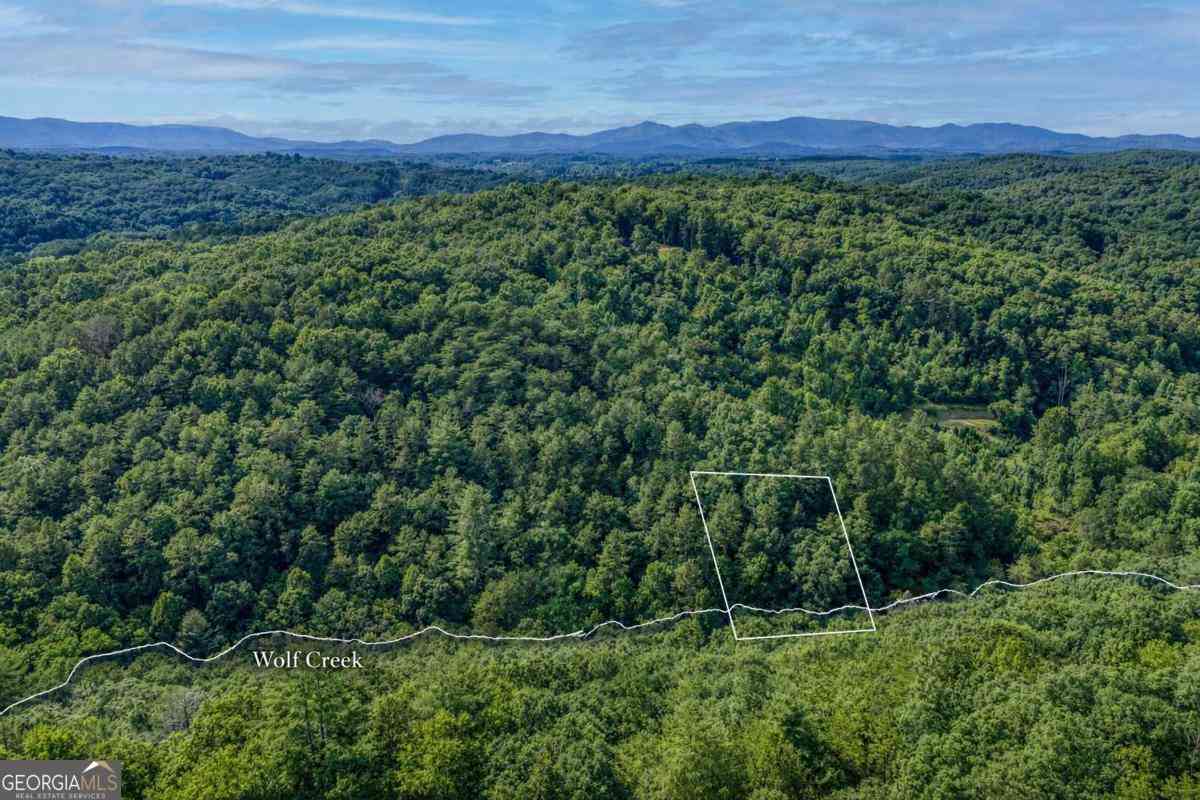 Vacant Land For Sale - Mill Race Drive<br/> Mineral Bluff, GA 30559