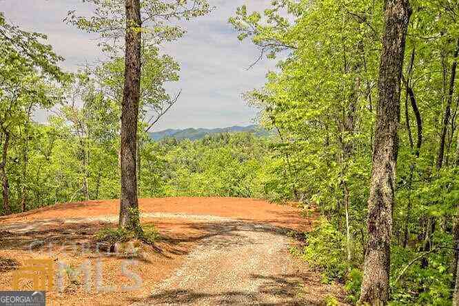 Vacant Land For Sale - Wynngate Drive #21<br/> Rabun County, Dillard, GA 30537