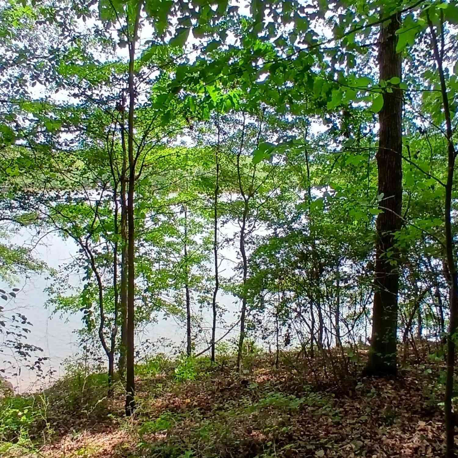 Vacant Land For Sale - 548 Old Beacon Light Road<br/> Hart County, Hartwell, GA 30643