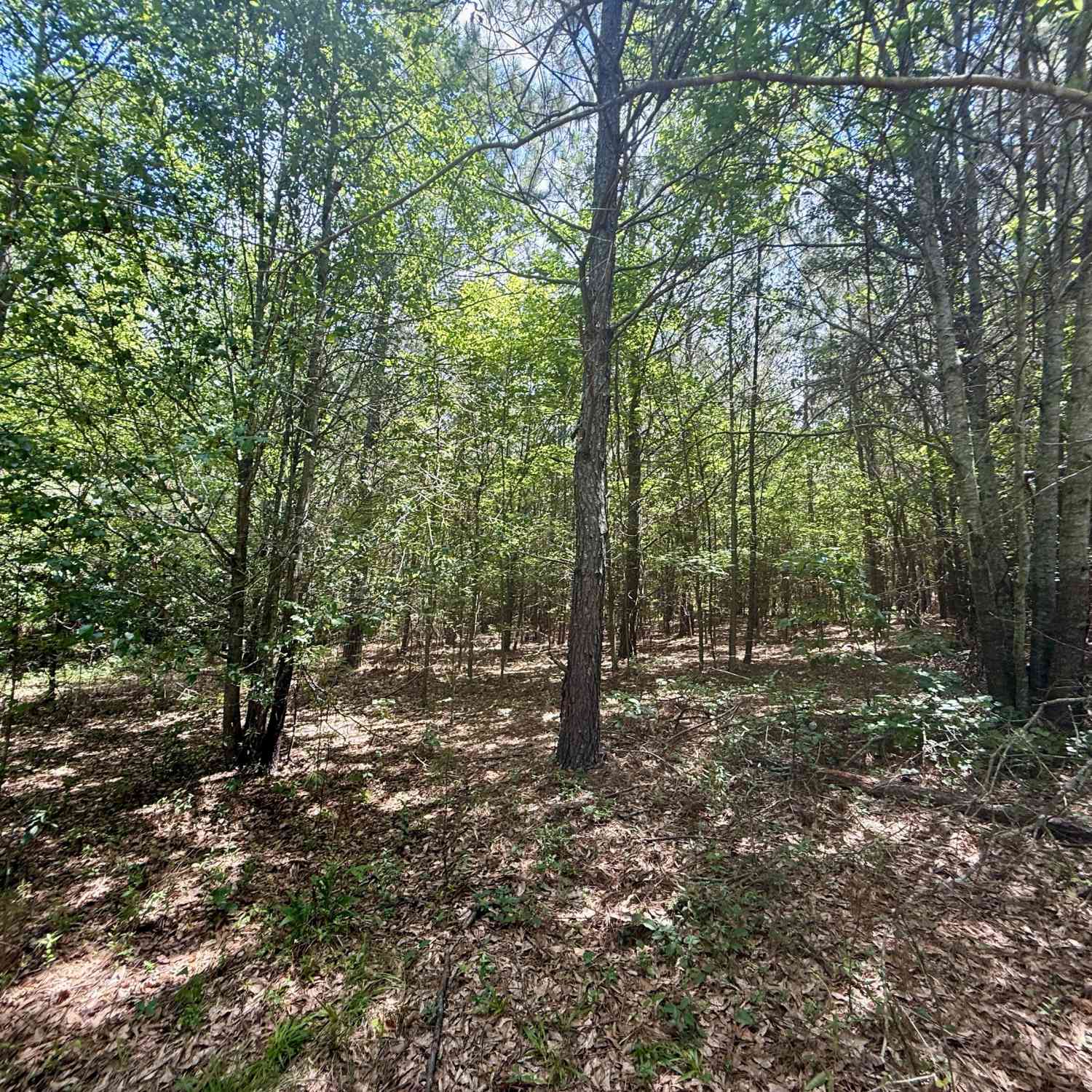 Vacant Land For Sale - 14.21 ACRES NW Irwin Bridge Road<br/> Rockdale County, Conyers, GA 30012