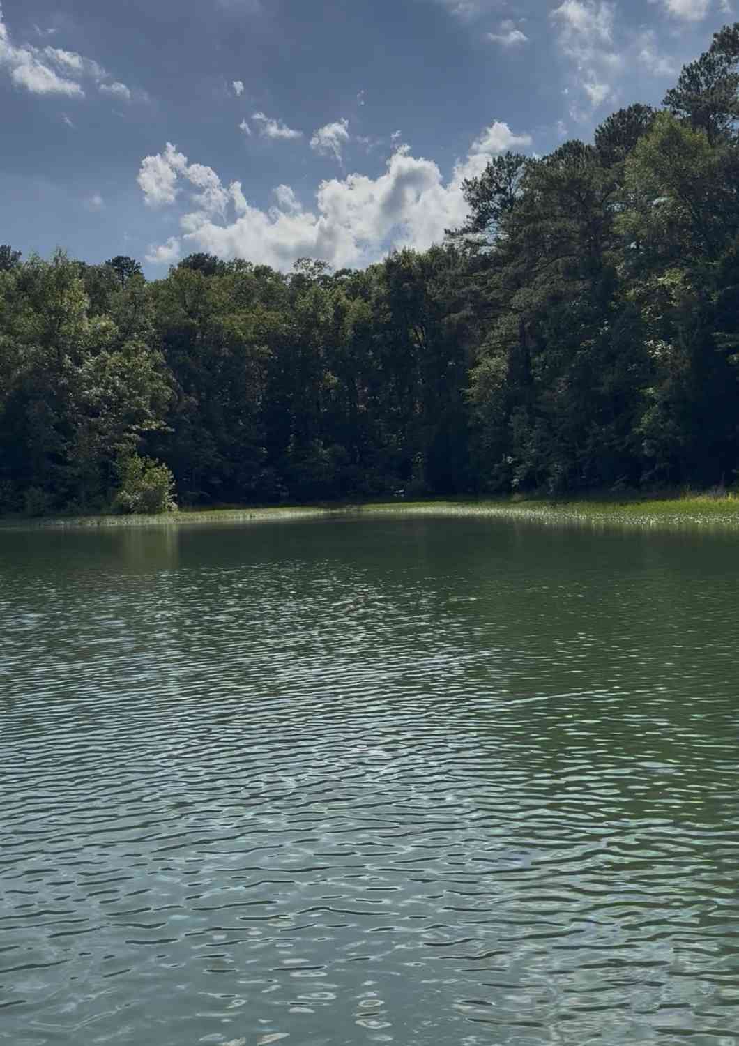 Vacant Land For Sale - LOT 48 Beaverdam Drive<br/> Elberton, GA 30635