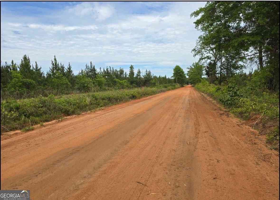 Vacant Land For Sale - 27 Marvin Murphy<br/> Ellaville, GA 31806