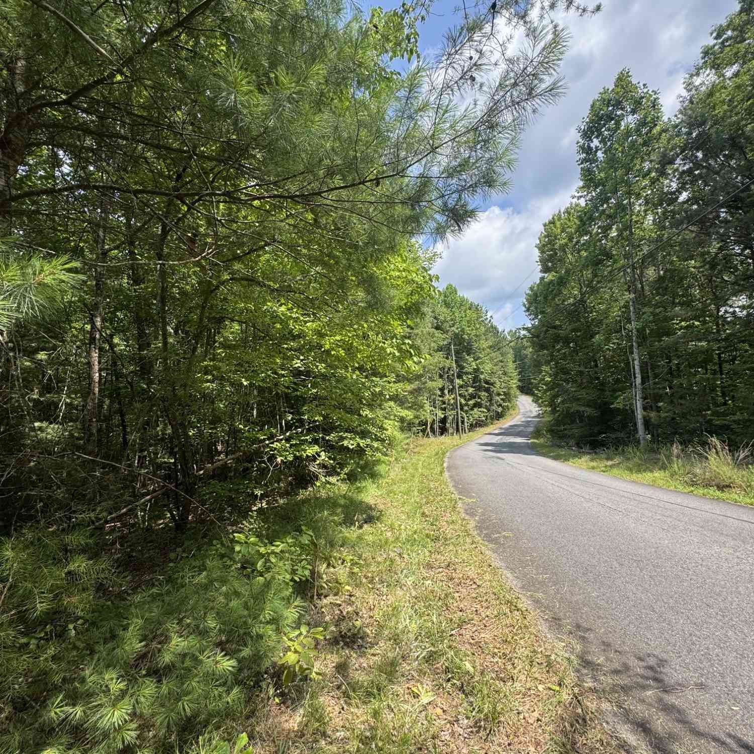 Vacant Land For Sale - TR 34 Lakeland Drive<br/> Ellijay, GA 30540