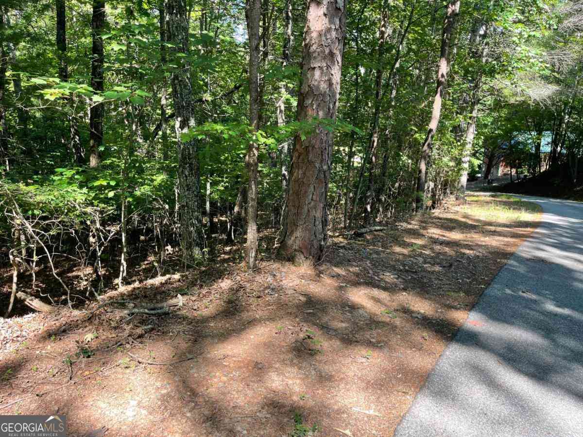 Vacant Land For Sale - Rizzitello Lane #5<br/> Blairsville, GA 30512