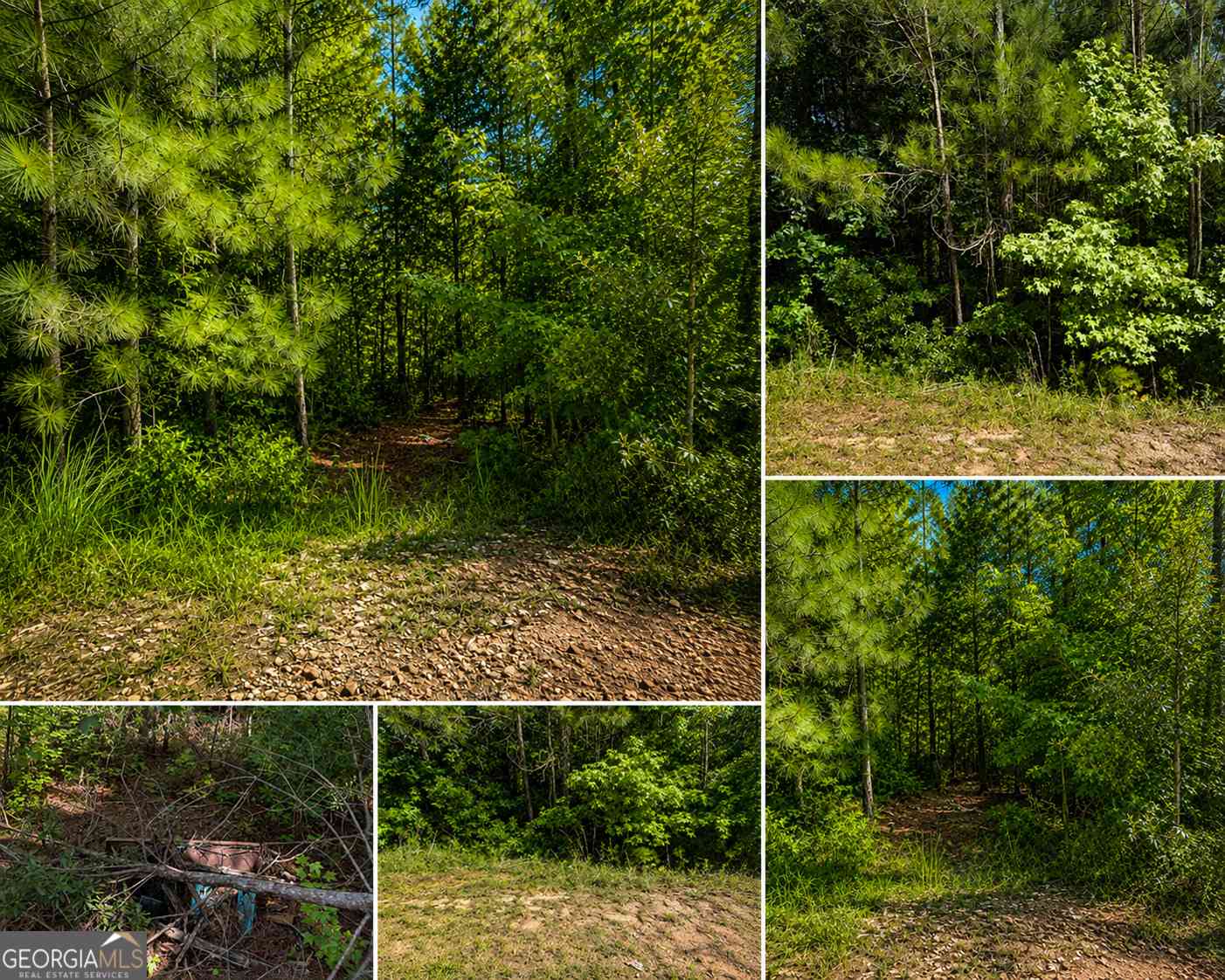 Vacant Land For Sale - 191 Shana Drive SW<br/> Milledgeville, GA 31061