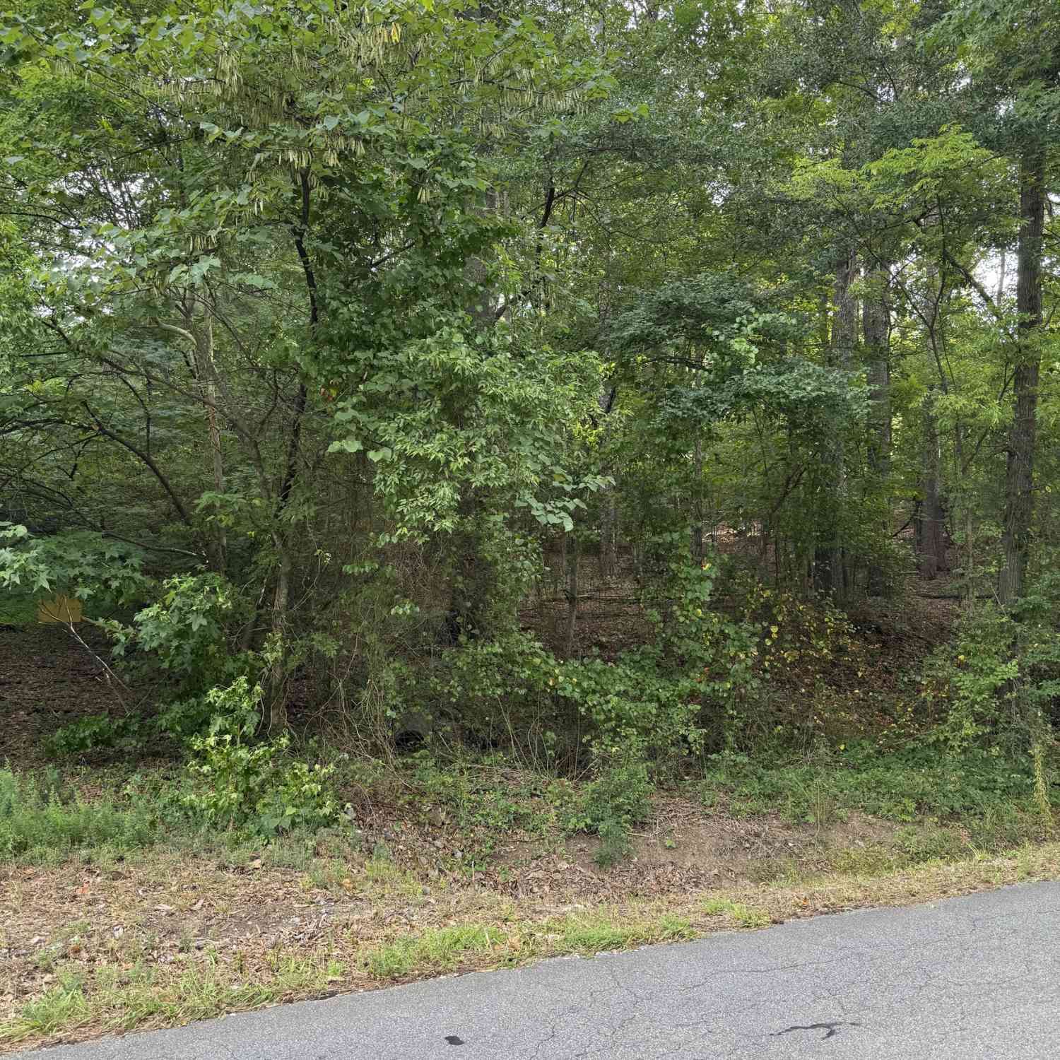 Vacant Land For Sale - Callier Springs Road<br/> Rome, GA 30161